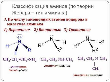 3 группы аминов