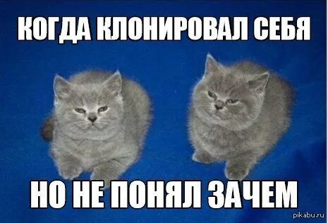 Почему не показывают давай