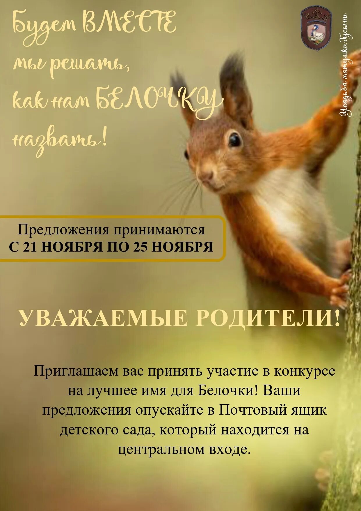 Клички для белок. Стих я маленькая белочка. Имя белки мальчик. Бельчонок домашний. Белки мальчики.
