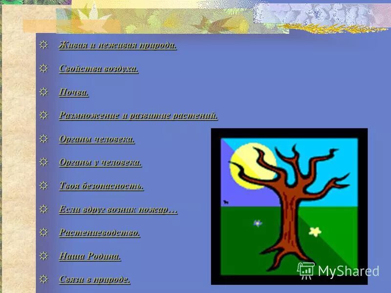 Многообразие животных рисунок. Классы животных 3 класс окружающий мир. Тема разнообразие животных 3 класс. Разнообразие животных 3 класс окружающий мир карточка. Проект разнообразие животных по окружающему миру.