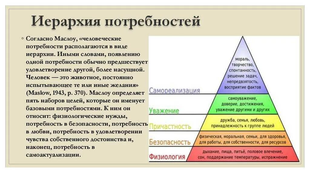 Ценности господствующие в обществе. Пирамида ценностей человека Маслоу. Пирамида потребностей по Маслоу 1 уровень. Теория иерархии потребностей а Маслоу суть теории. Пирамида Маслоу потребности человека 6 уровней.