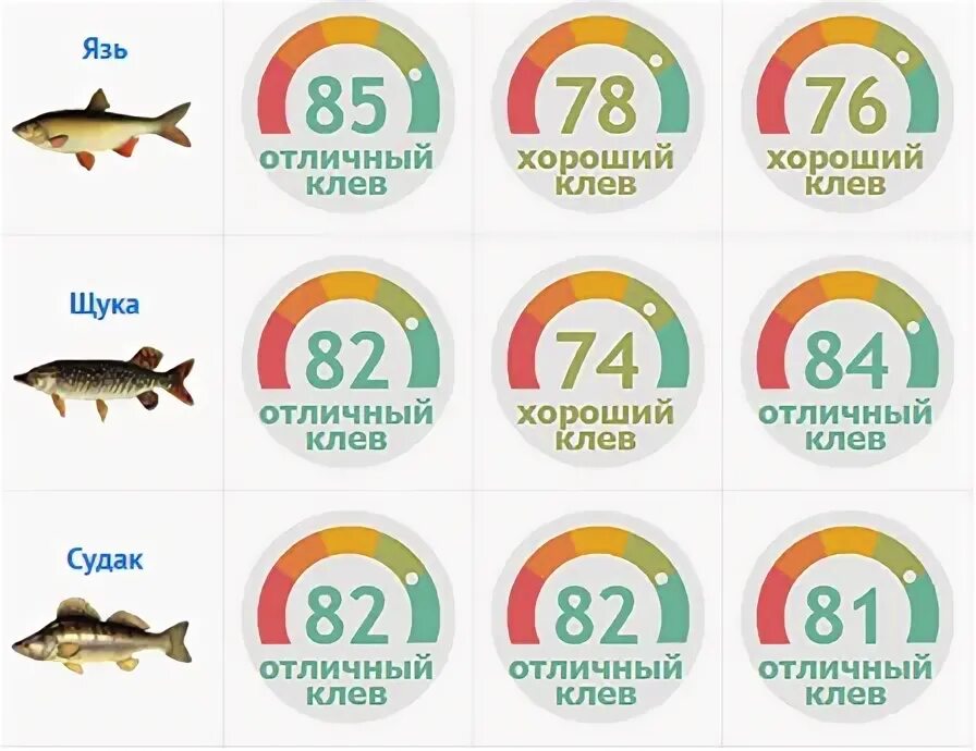Клев рыбы на неделю. Клев рыбы на неделю