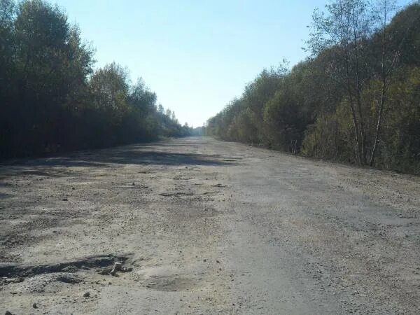 Мшага мост. Шимск-великий новгород дорога. Феофилова пустынь шимск. Я люблю шимск. А-122 трасса.