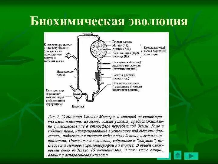 Последовательность этапов биохимической эволюции. Биохимическая Эволюция. Гипотеза биохимической эволюции. Теория биохимической эволюции. Схема биохимической эволюции.