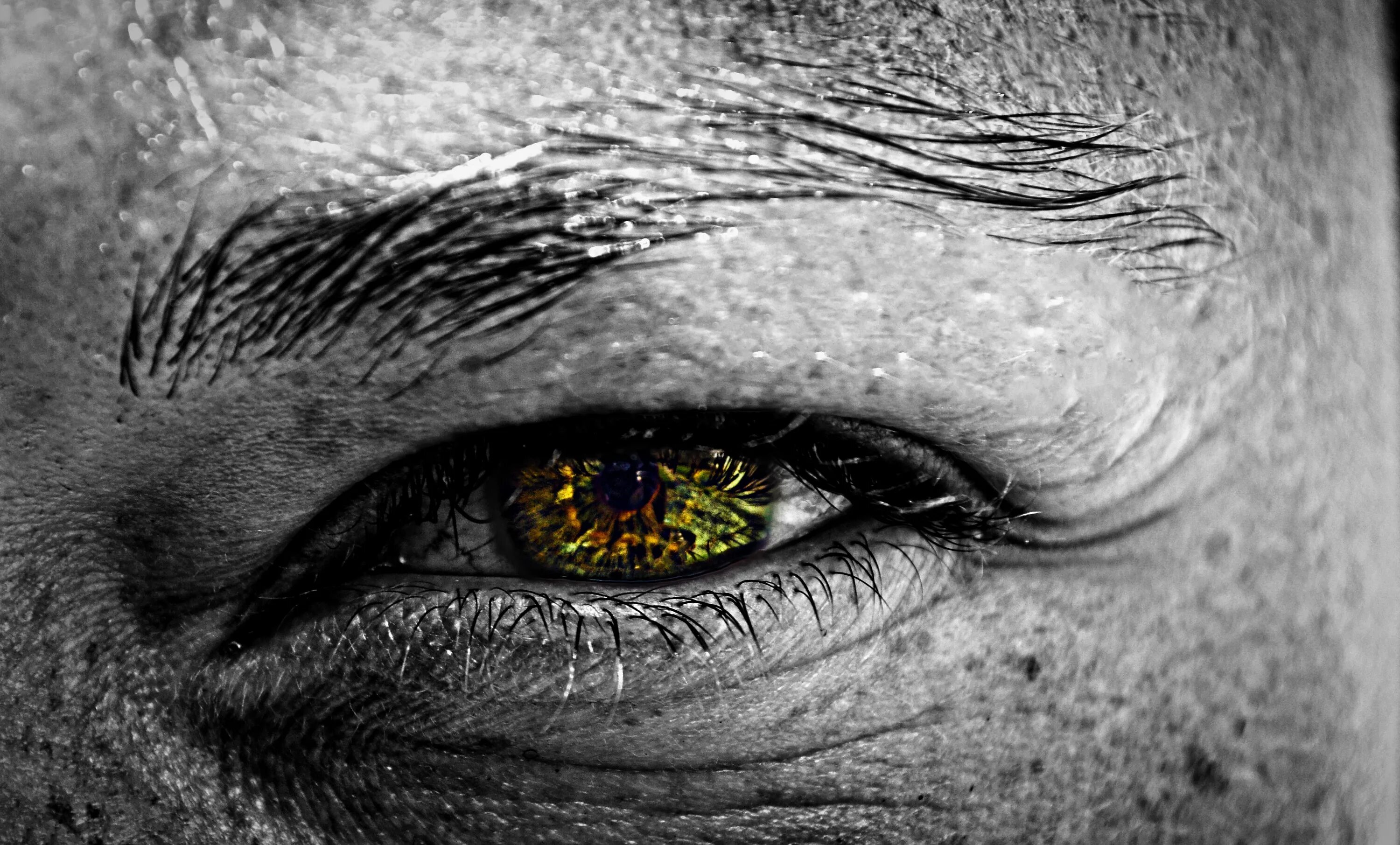 Затылок зрение. Монохромия глаз. Монохромия взгляд. Серебристые глаза у людей.