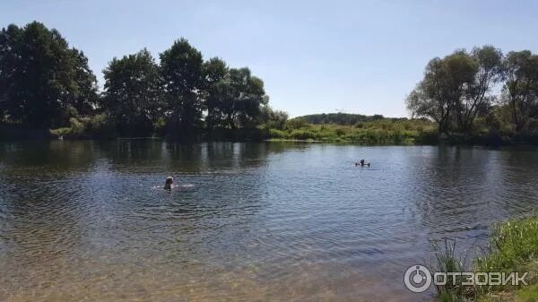 Лимпопо воронеж пляж. Пляж лимпопо рамонь воронеж. пляж лимпопо ступино воронеж. пляж рио рамонь воронеж. рамонь ступино пляж лимпопо.