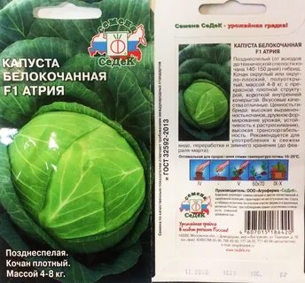 Капуста амагер характеристика отзывы и описание сорта