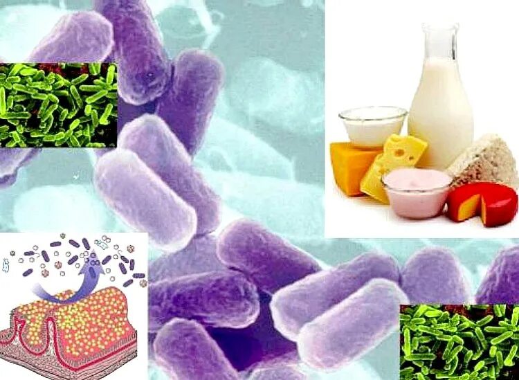 Микроорганизмы в пищевой промышленности. Полезные микробы. Бактерии в пищевой промышленности. Бактерий пробиотиков.