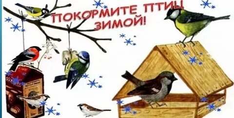 Покормите птиц зимой детский сад