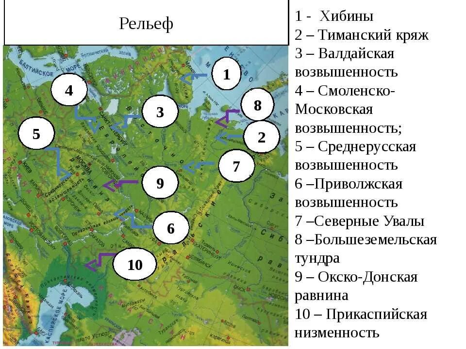 Среднерусская высота над уровнем моря. Рельеф Восточно-европейской равнины карта. Возвышенности и низменности Восточно европейской равнины на карте. Всточное европейская равнина рельеф. Рельеф Восточно европейской равнины на карте России.