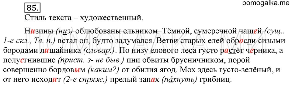 Русс упр 85. Гдз по русскому 6. Гдз по русскому языку 6 класс. Русский язык 6 класс домашнее задание. Родной русский 6 класс упражнение 85.