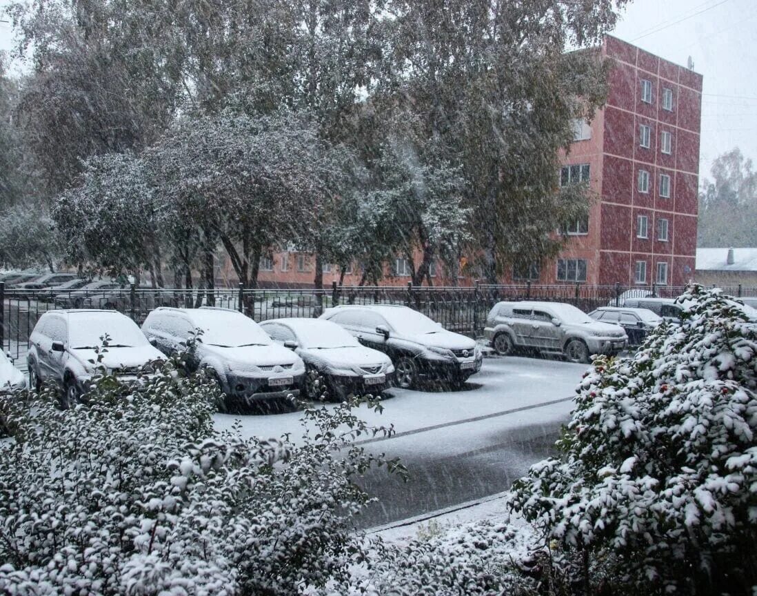 В Новосибирске выпал снег. Первый снег в Новосибирске. Снегопад в городе. Сегодняшний снег в Новосибирске. В россии выпадет снег