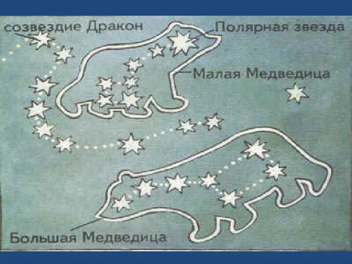 Созвездия большой и малой медведицы для детей. Модель созвездия большой медведицы 1 класс. Макет большой и малой медведицы. Макет созвездия. Модель созвездия большой медведицы 1 класс.