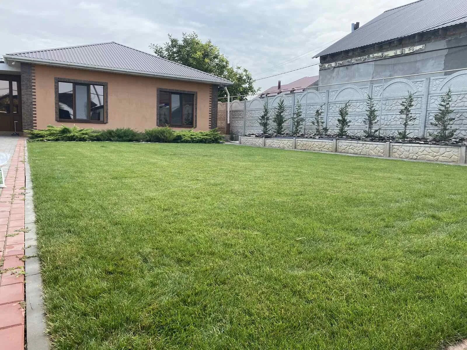 трава газонная элеганс (10 кг). швейцарский газон. газон в городе. рулонный газон. газон датский спорт.