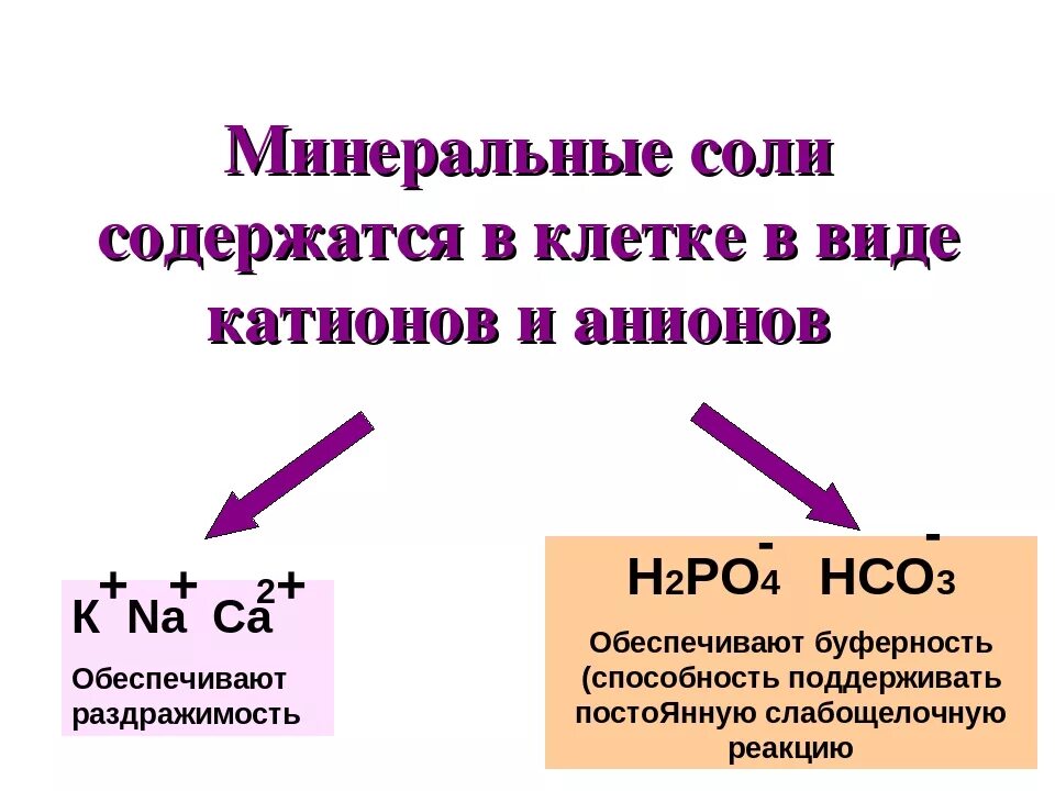 Функции вещества Минеральные соли. Состав Минеральных солей в организме.