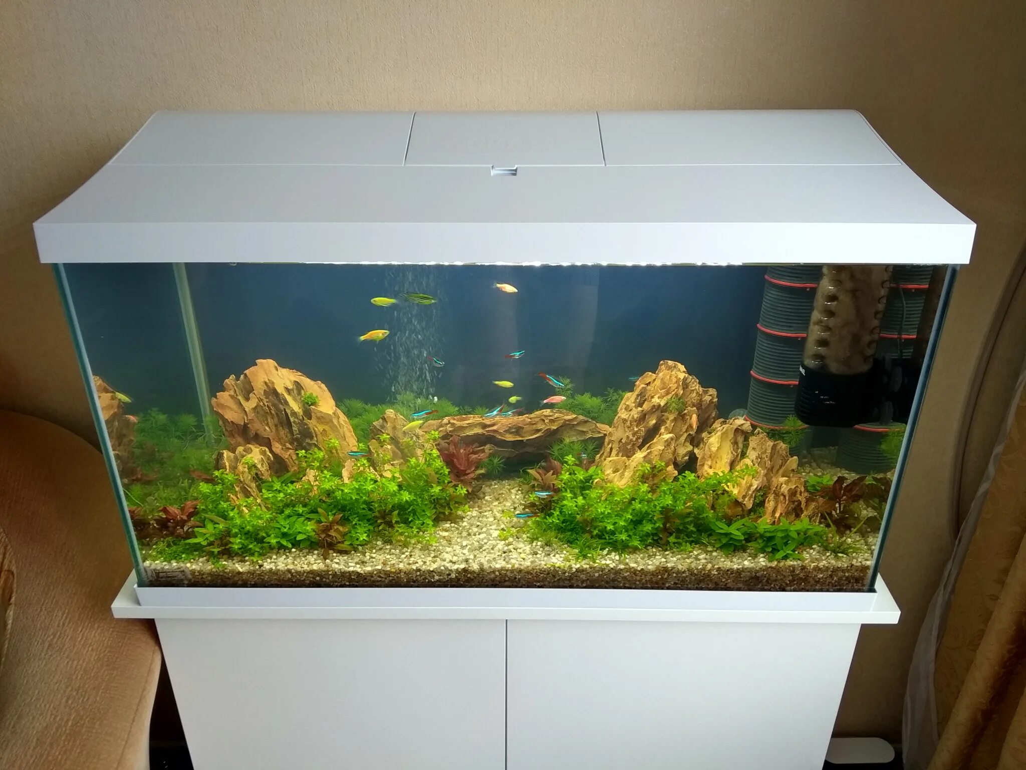 Аквариум плюс. Aquael leddy. aquael leddy set 75. аквариум aquael leddy set plus. aquael leddy set plus d&amp;n 60.