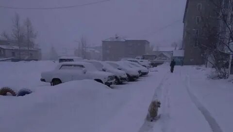 Прогноз алдан