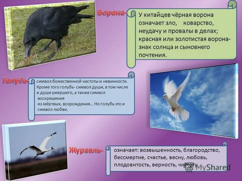 сокол тотемное животное. образ вороны в русских народных сказках. ворона приметы. легенда о вороне. тотемные животные по знакам зодиака весы.