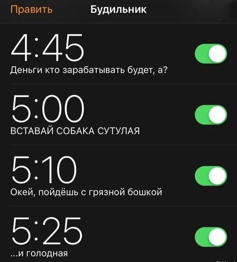Будильник. Будильник Мем. Будильник на телефоне. Вставай собака сутулая будильник. Свет на моем телефоне