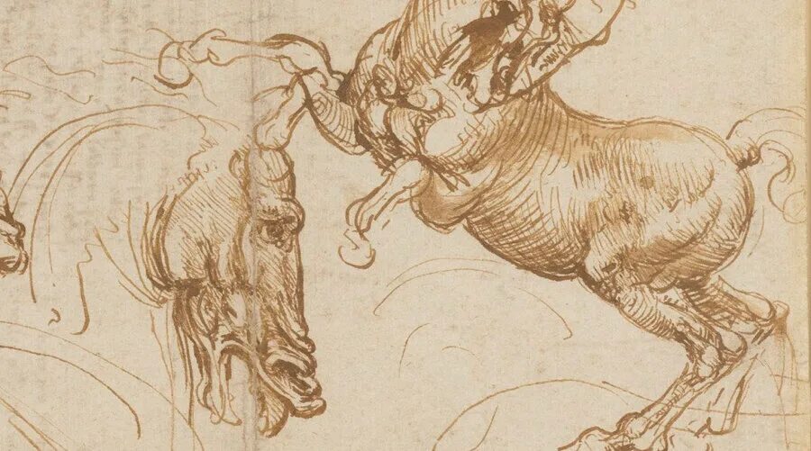 Рисунки леонардо да винчи животные. Леонардо да винчи зарисовки животных. Леонардо да винчи. Леонардо да винчи зарисовки лошадей. Леонардо да винчи анималистика.