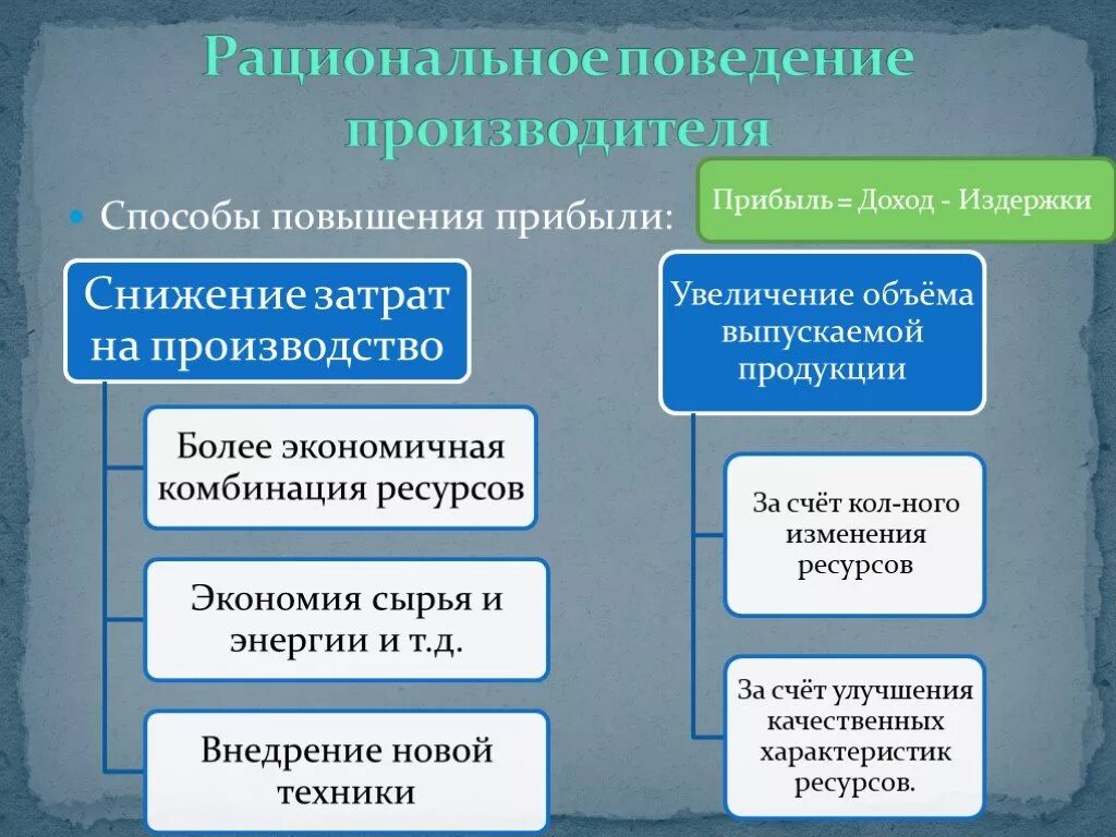 Рациональная организация экономической деятельности