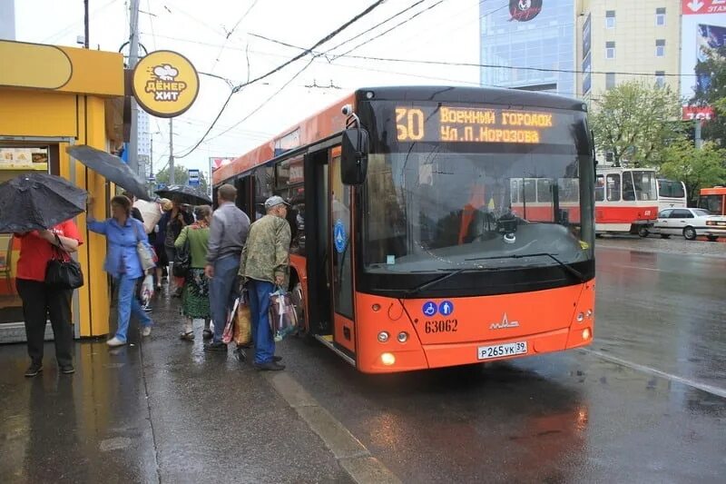 Маршрут 30 автобуса калининград. Автобусы Калининград. Общественный транспорт Калининграда. Калининградский автобус. Автобус 30.