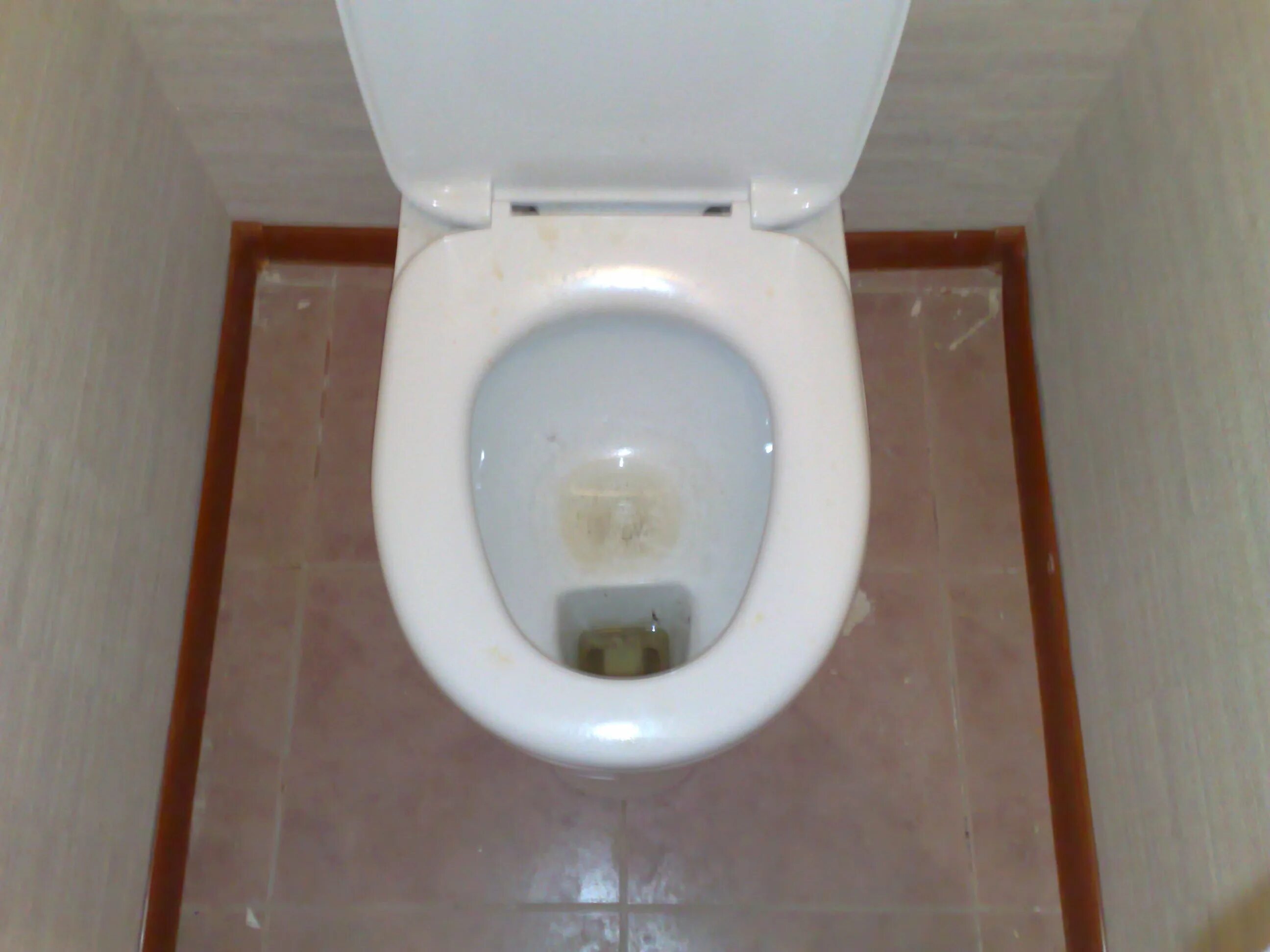 Унитаз вид сверху. Унитаз. Удобный унитаз. Виды туалетной. Унитаз в туалете.