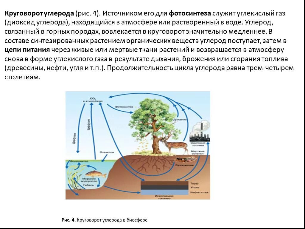 Каким путем связанный углерод возвращается в атмосферу. Фотосинтез растений круговорот веществ в биосфере. Круговорот углерода (по ф. Рамад, 1981). Круговорот углерода в биосфере. Круговорот воды и углерода в биосфере.