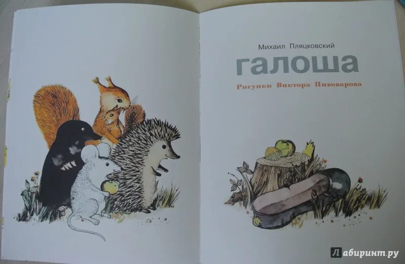 Произведение зощенко галоши. Иллюстрация к рассказу Зощенко галоши. Иллюстрация к рассказу галоша Зощенко. Иллюстрации к рассказу Зощенко калоша.