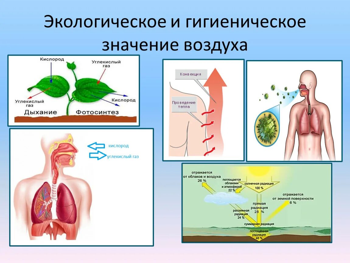 Гигиеническое состояние окружающей среды. Атмосферный воздух значение гигиена. Гигиеническое и экологическое значение атмосферного воздуха. Гигиеническое значение атмосферного воздуха для человека. Гигиена воздуха презентация.