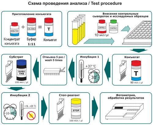 Иммуноферментный анализ тест. ИФА методика выполнения анализа. Схема постановки ИФА метода. Схема постановки иммуноферментного анализа. Непрямой метод ИФА схема.