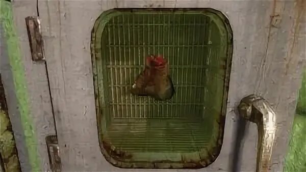 Где найти ломоть мяса зов припяти
