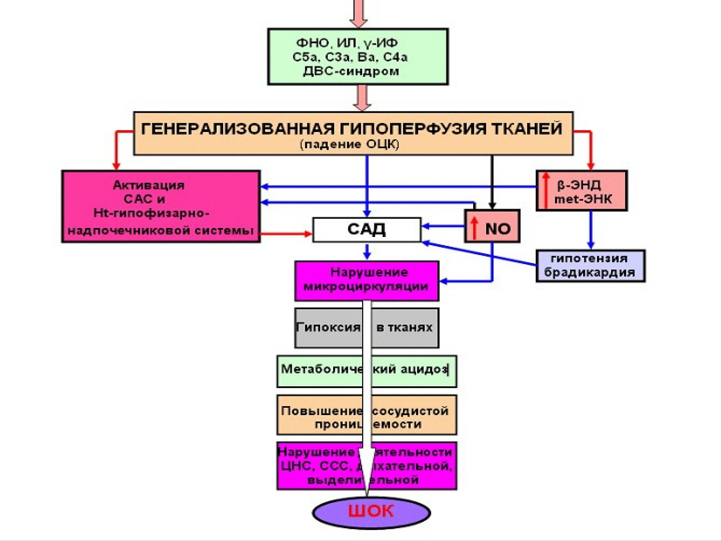 Патофизиология. Предмет патофизиологии. Предмет и задачи патофизиологии. ШОК патофизиология презентация.