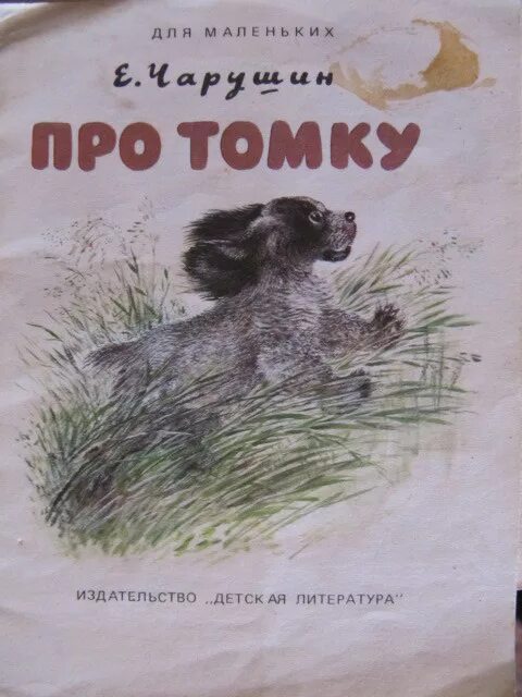 Чарушин про Томку книга. Чарушин про Томку. Тамка. Рассказы про томку