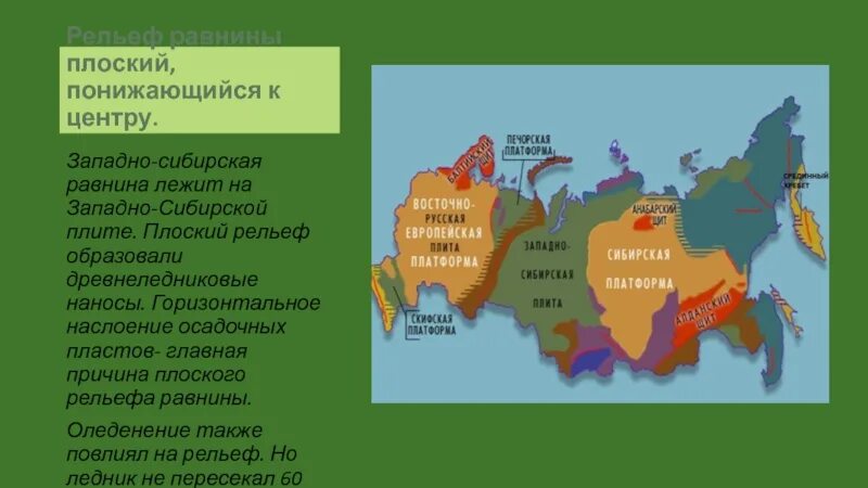 К какой тектонической структуре приурочен. Западно Сибирская платформа форма рельефа. Сибирская платформа платформа форма рельефа. Западно Сибирская плита форма рельефа. Преобладающая форма рельефа Западно Сибирская платформы.