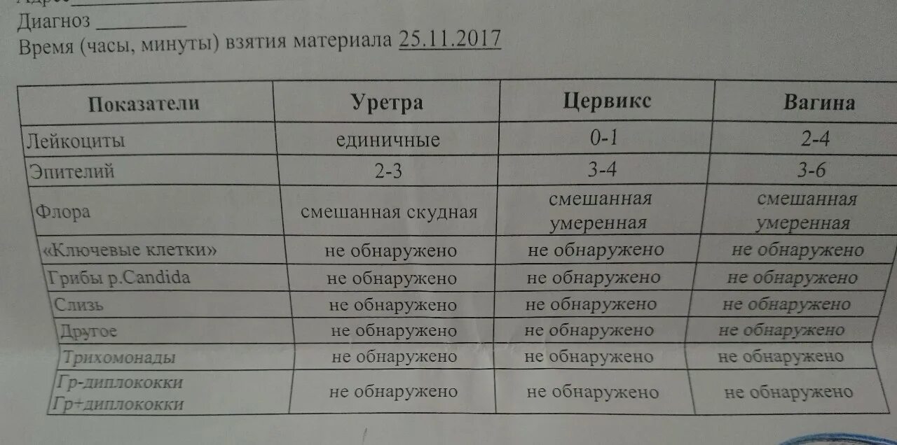 Влагалищные мазки норма и расшифровка. Мазок на флору. Исследование мазка. Результат мазка на флору норма. Гинекологический мазок на флору.