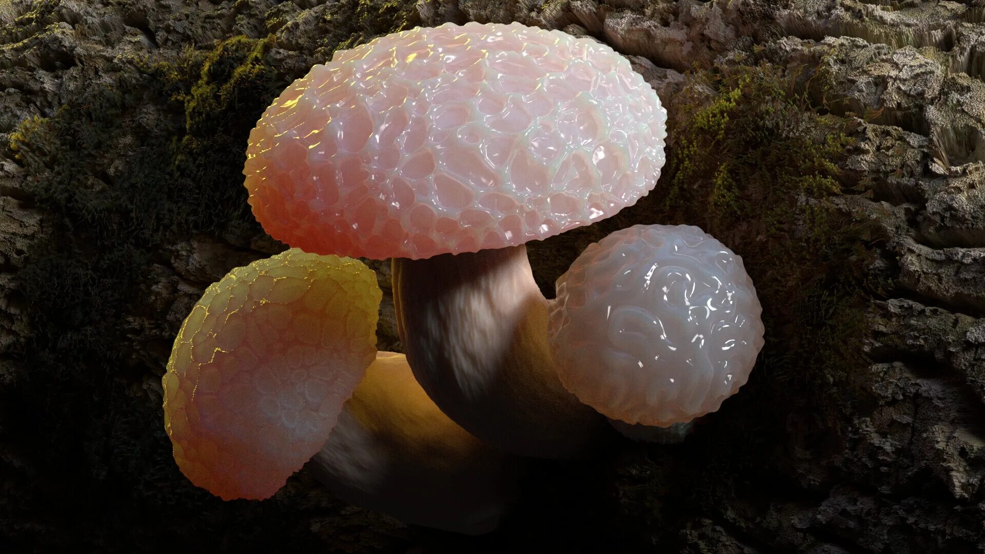 Включи редкие грибы. Родотус дланевидный. Rhodotus palmatus грибы. Гриб Родотус розовый. Родотус дланевидный (Rhodotus palmatus).