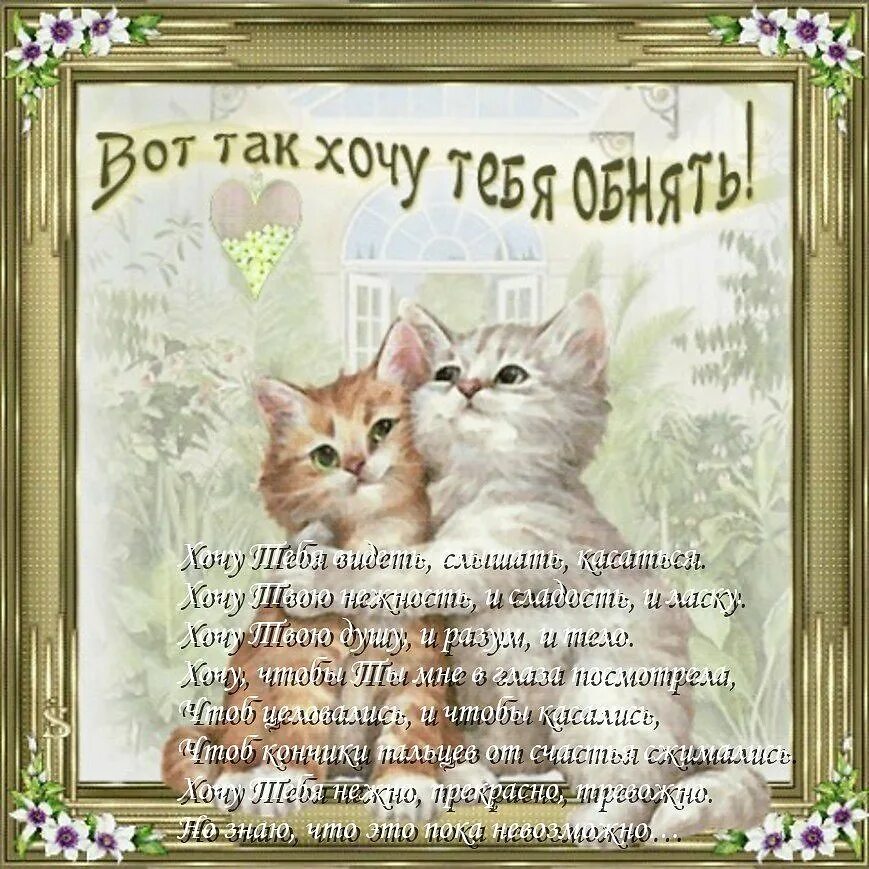 Надписи обнимаю. Открытка обнимашка. открытка любимому. обнимаю тебя. открытки обнимаю тебя крепко.