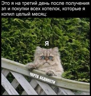 Тут заметил