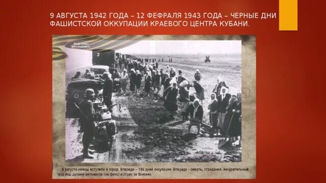 События произошедшие в краснодарском крае