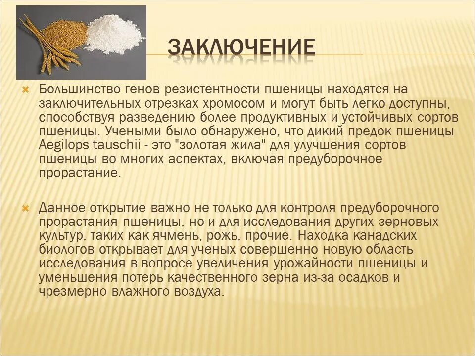 Заключение о качестве пшеницы. Заключение по зерну. Предок пшеницы. Оценка качества зерна заключение. Возраст пшеничного