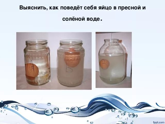 В пресной воде морковь через три дня. В пресной воде морковь через три дня