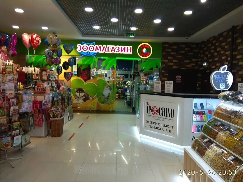 зоомагазин вывеска. лапы и хвосты зоомагазина. зоомагазин реутов. зоомагазин. лапы и хвост зоомагазин тула.