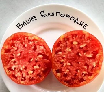 Ваши томаты