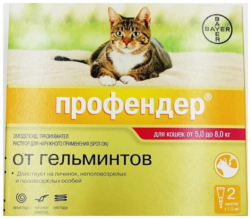 Капли от блох для кошек стронгхолд. Пипетка на холку для кошек. Лекарство от блох и клещей для кошек на холку. Пипетка на холку для кошек. Адвокат (bayer) капли от чесоточных клещей, блох и гельминтов для собак от 4 до 10 кг (3 пипетки).