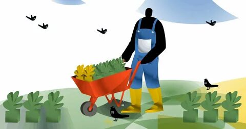 Coin farming