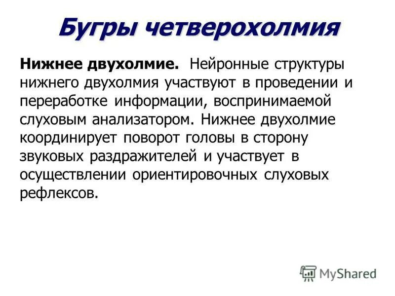 Функции нижних Бугров четверохолмия. Четверохолмие функции. Четверохолмие среднего мозга функции. Бугры четверохолмия среднего мозга функции.