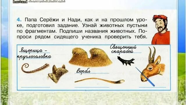 Ответы Mail.ru: особенности степных животных