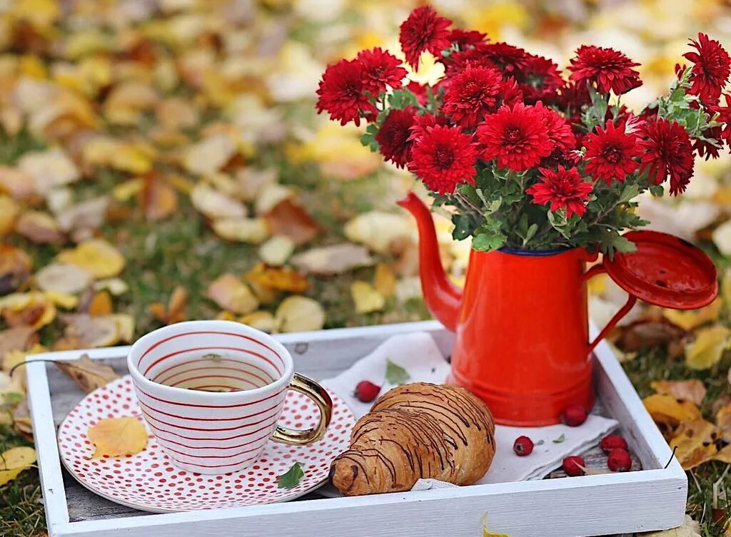 Осенний букет и кофе. Осеннее чаепитие. Осенний букет с завтраком. Осеннее чаепитие с цветами красивое.