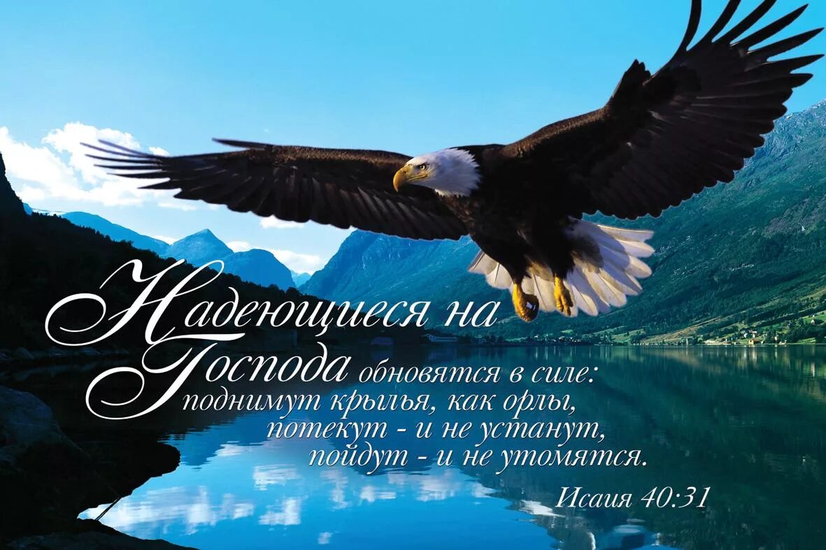 Христианские поздравления с днём рождения мужчине. Христианские открытки с днём рождения мужчине. Христианские пожелания с днем рождения. Христианские пожелания с днем рождения мужчине.